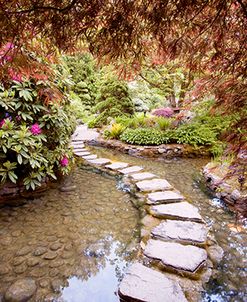 Stepping Stones at Butchart Gardens #2, Victoria, B.C. 09 – color
