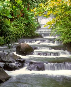 Terraced Falls