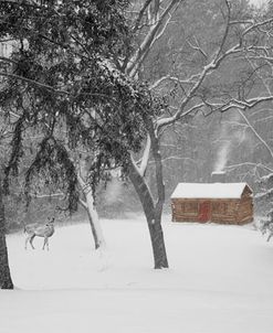 Cabin in the Snow