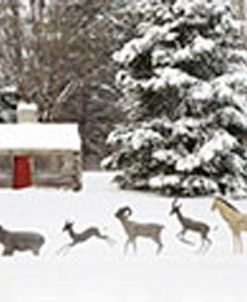 Sleigh in the Snow, Farmington Hills, Michigan 09 –  Color Pan