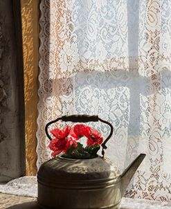 Lace Curtains & Teapot