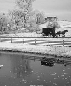 Buggy & Pond, Shipshewana, Indiana ’13-IR