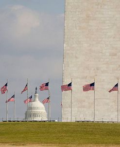 Capitol Dome & Flags, Washington D.C. ’08 – Color