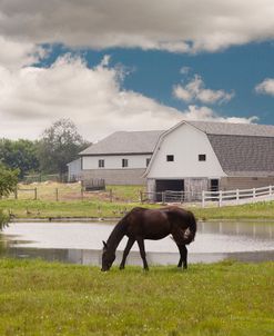 Horse & Barn, Shipshewana, Indiana ’10 – color