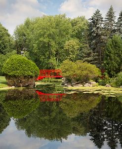 Red Bridge Reflections