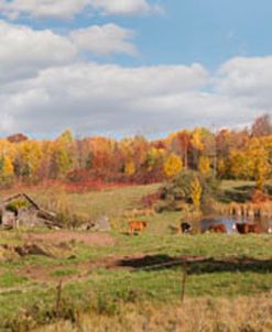 Old Barn Panorama, L’Anse, Michigan ’12 – color pan