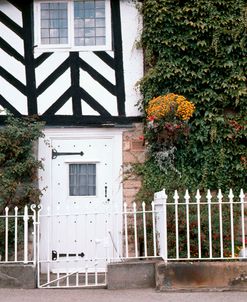 Vine Covered Wall, Europe 87 – Color