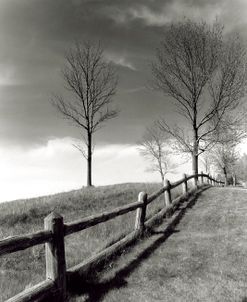 Fences And Trees, Empire, Michigan