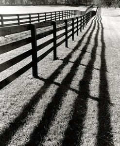 Fences And Shadows, Florida