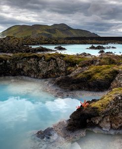 Iceland MG_0203