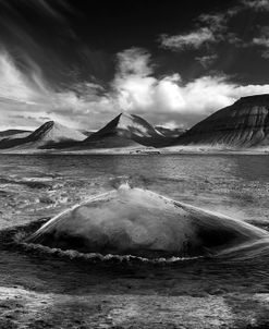 Iceland MG_2272