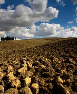 Tuscany II