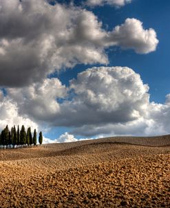 Tuscany III