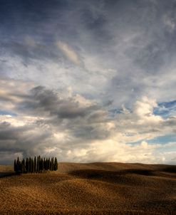 Tuscany V