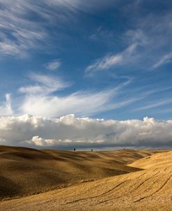 Tuscany VI