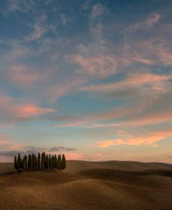 Tuscany VII
