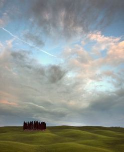 Tuscany VIII