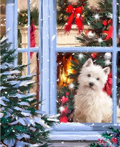 0081 Dog At Window