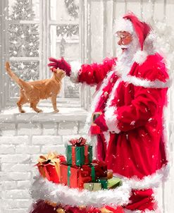 0493 Santa Stroking Cat