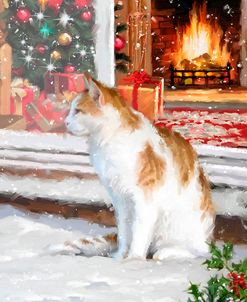 0598 Cat In Snow