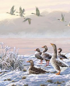 1270(2) Winter River Geese