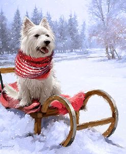 1271 Westie Outdoor