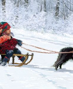 0016 Sled Dog