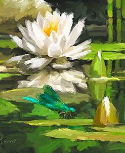 0629 Water Lilly