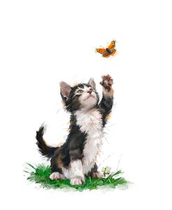 1033(2) Cat With Butterfly
