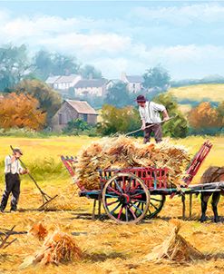 1200 Hay Making