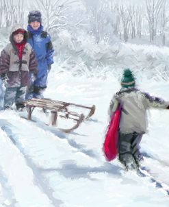 0056 Sledging