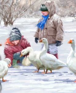 0062 Feeding Geese