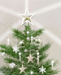 0162 Christmas Star