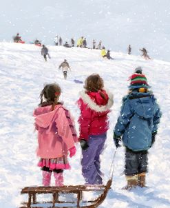 0312 Kids Sledging