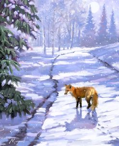 0352 Fox In Snow