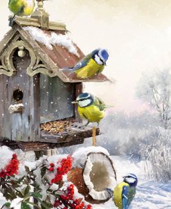 1266 Bluetits