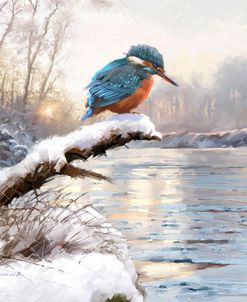 1269 Winter Kingfisher