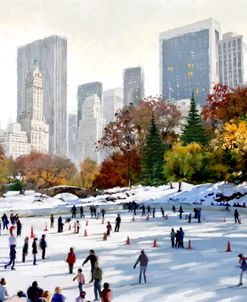 1377 Skating In New York