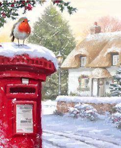 1349 Robin On Post Box 2