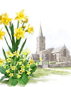 1212 Daffodils And Church