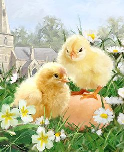 0954 Easter Chicks