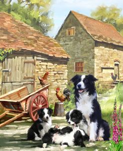 1391 Farmyard Collies