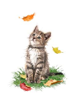 1035 Cat With Falling Leaves