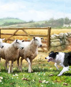 1067 Sheepdog With Sheep