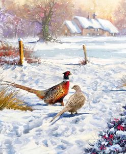 1089 Winter Pheasants