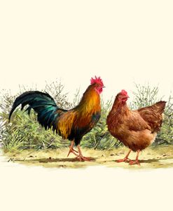 1119 Cockerel And Hen Copy