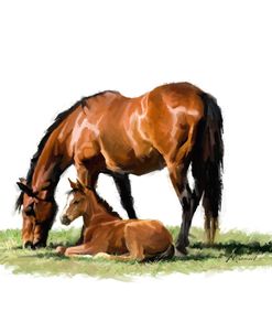 1126 Horse With Foal