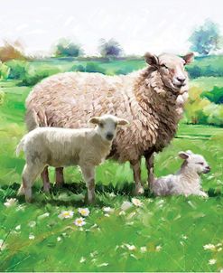 1135 Sheep and Lamb