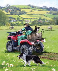 1144 Quad Bike