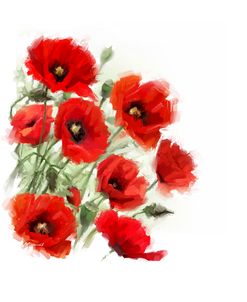 1171 Poppies